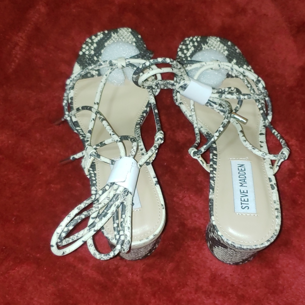 Steve madden